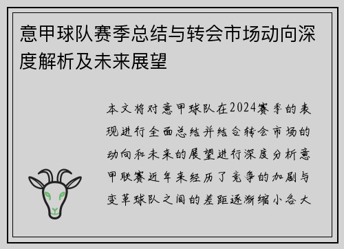 意甲球队赛季总结与转会市场动向深度解析及未来展望