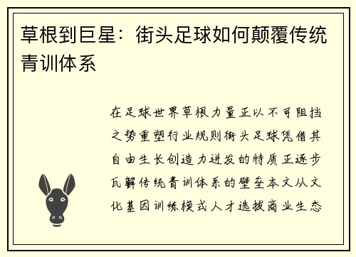 草根到巨星：街头足球如何颠覆传统青训体系
